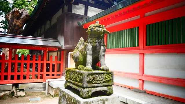 用户口碑